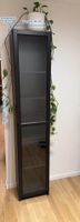 IKEA BILLY / OXBERG bibliothèque porte vitrée 40x30x202 cm
