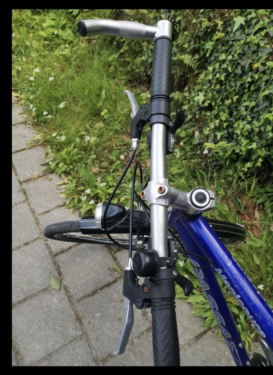 Velos: Passat Manicoure Bicyle – Gebraucht aus Kastanienbaum von davids_closet 4