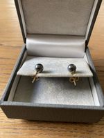 Goldene Ohrstecker mit Hämatit