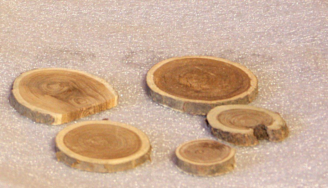 Articles en bois: Holzscheiben z. Basteln – Neuf (Voir description) à Flüelen par Alt-und-Neu