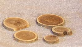 Holzscheiben z. Basteln