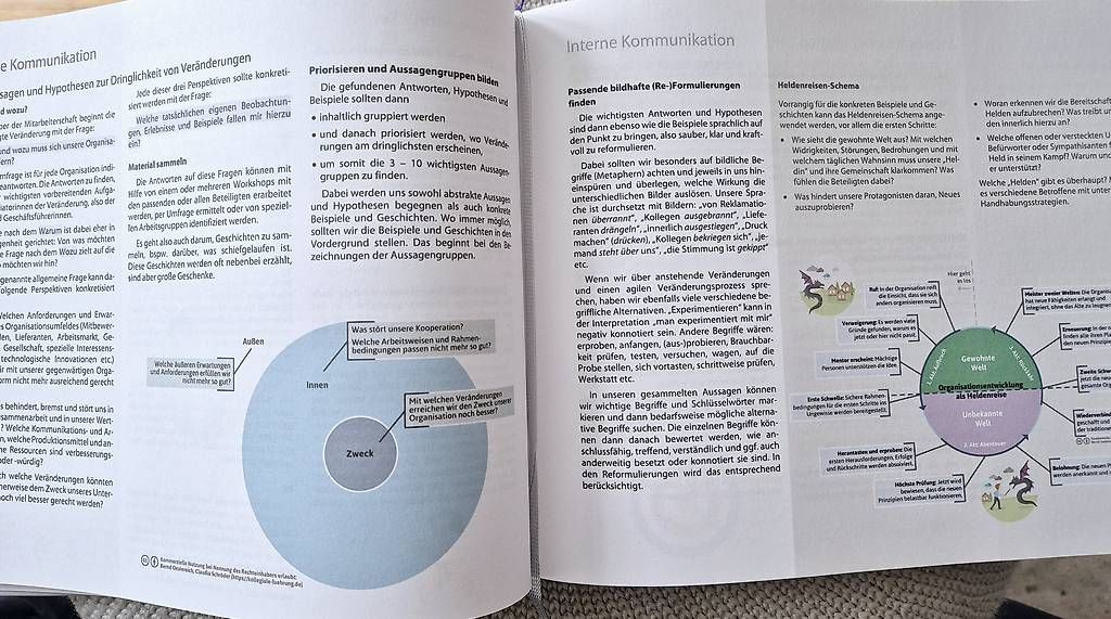 Libri: Buch: Agile Organisationsentwicklung Vahlen Verlag – Usato da Wetzikon ZH venduto da Juergen_B 2