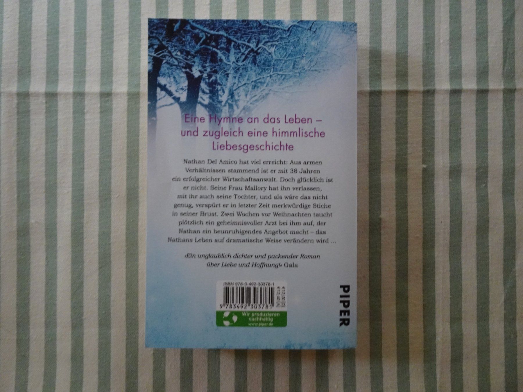 Libri: Guillaume Musso - Ein Engel im Winter - B261 – Usato da Küssnacht am Rigi venduto da Bookslove-Divers 1