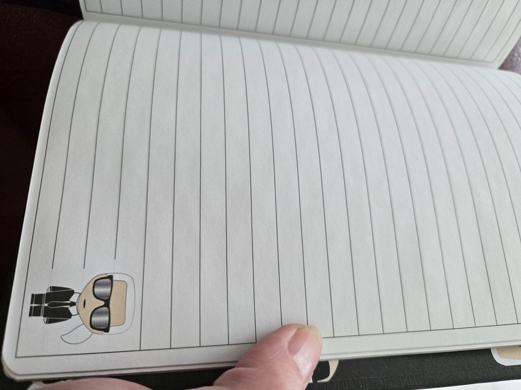 Libri: Notitzbuch, Schreibblock Karl Lagerfeld – Nuovo (secondo la descrizione) da Thun venduto da Mme.Mouton 3