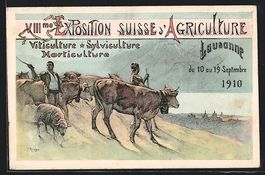 Lausanne, VIIIme Exposition Suisse d'Agr