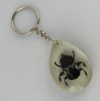 Schlüsselanhänger - KÄFER - 4,5x3cm