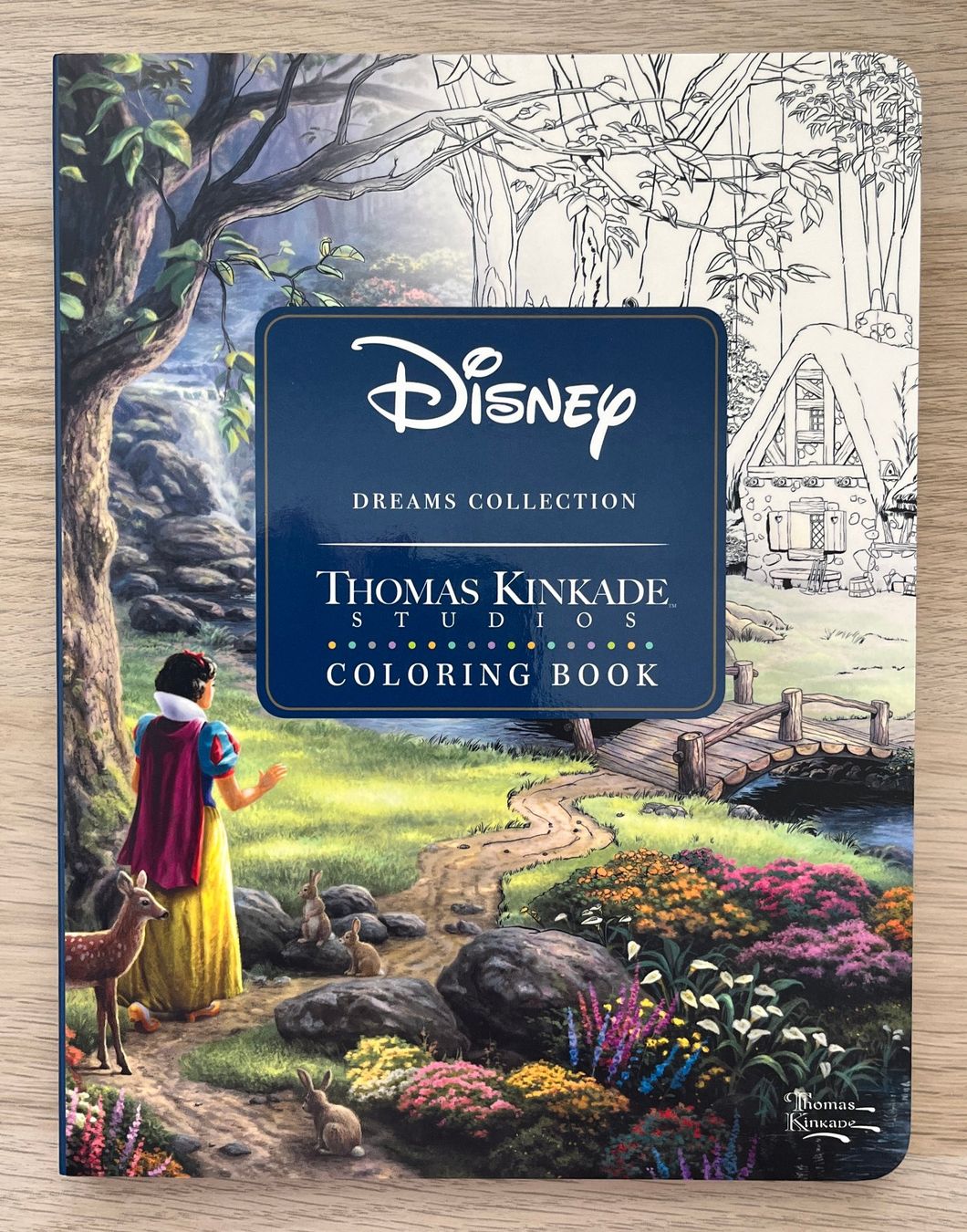 Livres: Thomas Kinkade - Disney coloring book – Neuf (Voir description) à Fiez par vivianne21