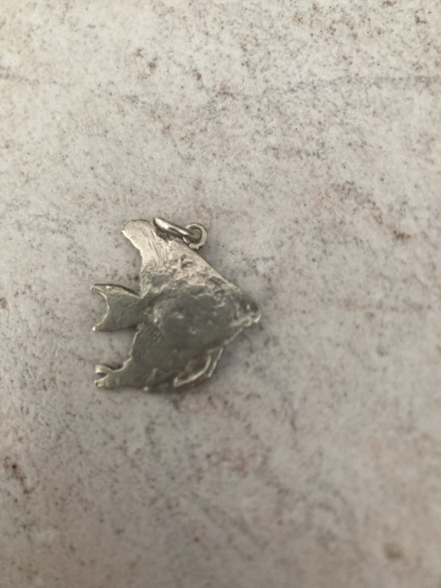 Pendentifs: Silberfisch – D'occasion à Thun par Stockhorn2190 1