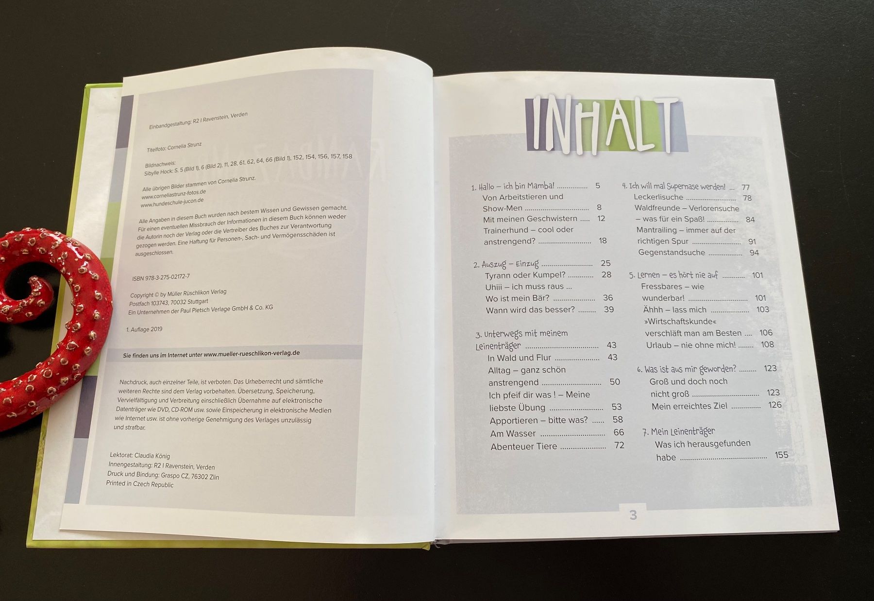 Libri: RAMBAZAMBA MIT LABBI MAMBA – Usato da Nussbaumen AG venduto da schuba2000 1