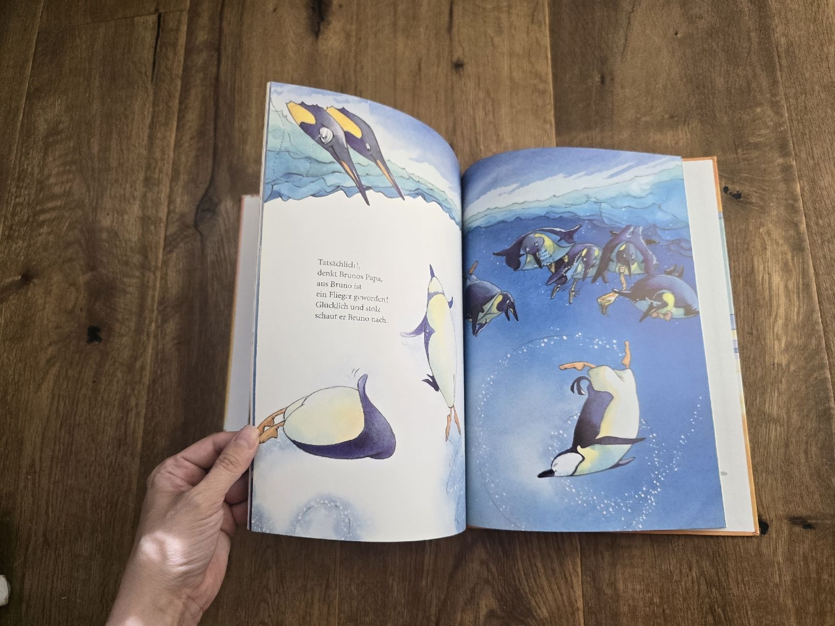 Libri: Bilderbuch "Und ich will Flieger sein" Anette Bley  – Usato da Wittenbach venduto da Tigerlili 3