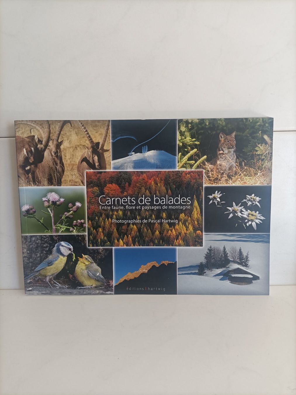 Livres: Carnets de ballades / Pascal Harwig / Hartwig 2016 – D'occasion à crans montana par AB3963