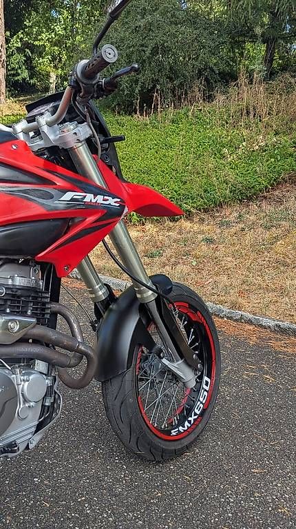 Honda Strada: Honda FMX 650 – Usato da Sissach venduto da Omitdrr 4