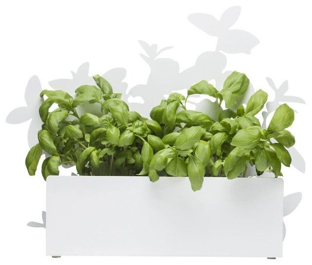 Vasi per fiori: Sagaform Kräuterkasten Weiss – Nuovo e nell'imballaggio originale da Basel venduto da mingebrand