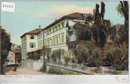 Heiden - Hotel Freihof
