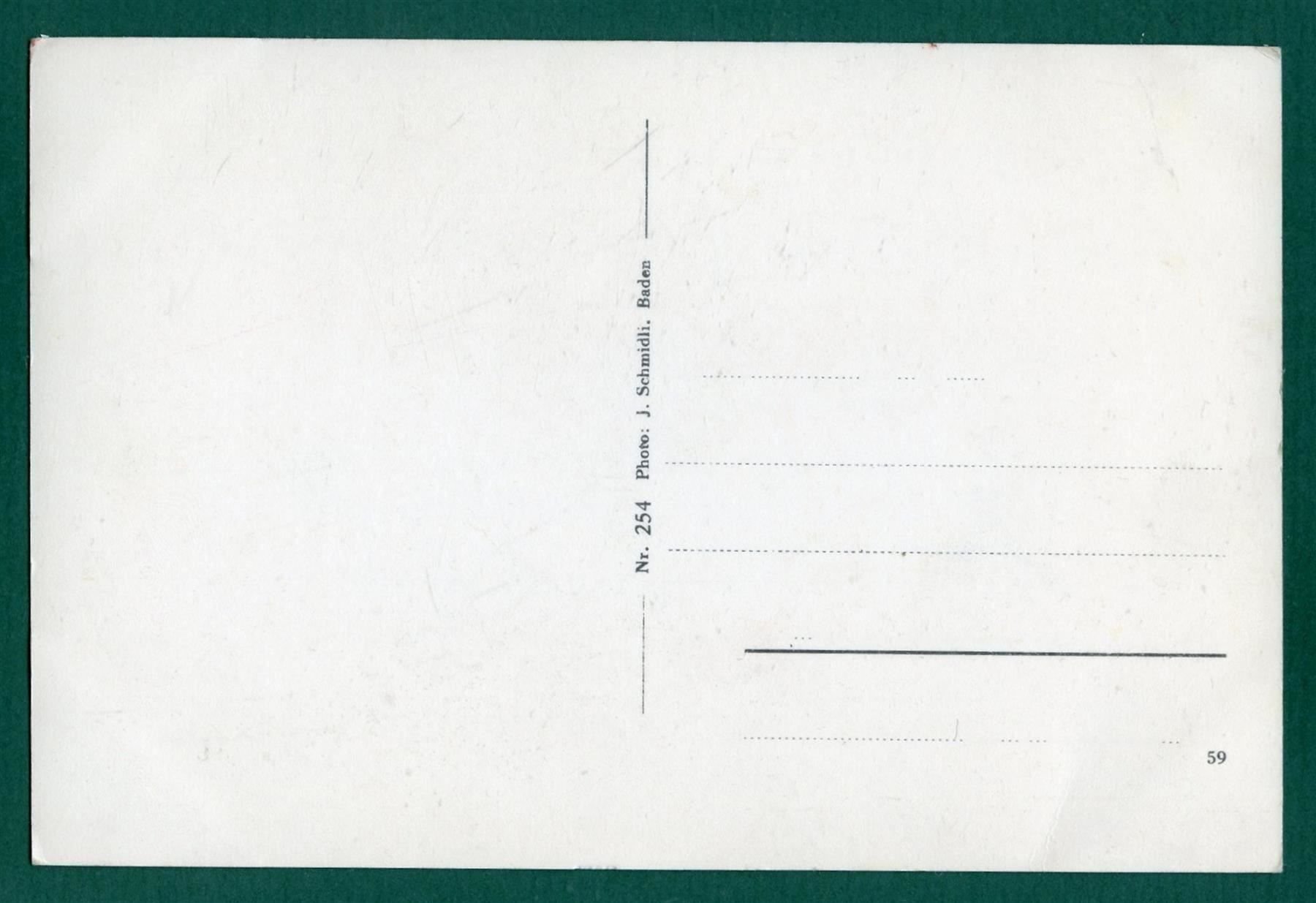 Cartoline postali: Schloss Wildegg, ungelaufen, ca. 1930 – Usato da Sargans venduto da Hausi1951 1