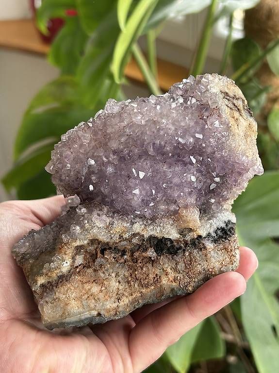 Minéraux & Lithothérapie: Amethyst Drusenstufe – Neuf (Voir description) à Basel par Richard467 1