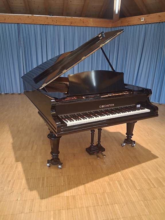 Instruments de musique: Bechstein Flügel B – D'occasion à Dornach par inf_vtl8 4