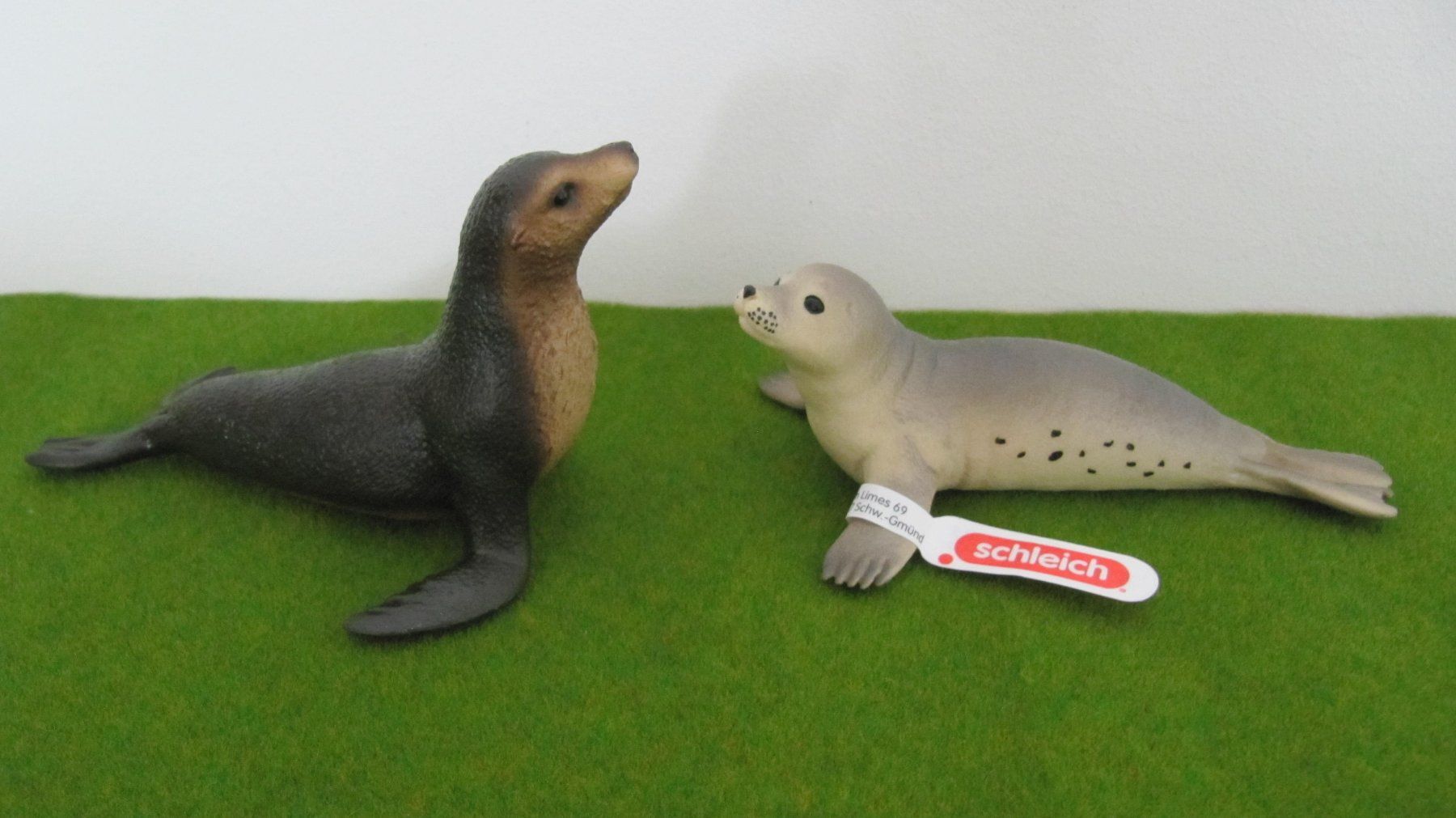 Schleich Figuren: Schleich Robbe und Seelöwe – Neu (gemäss Beschreibung) aus Brunnen von Kiwiland1