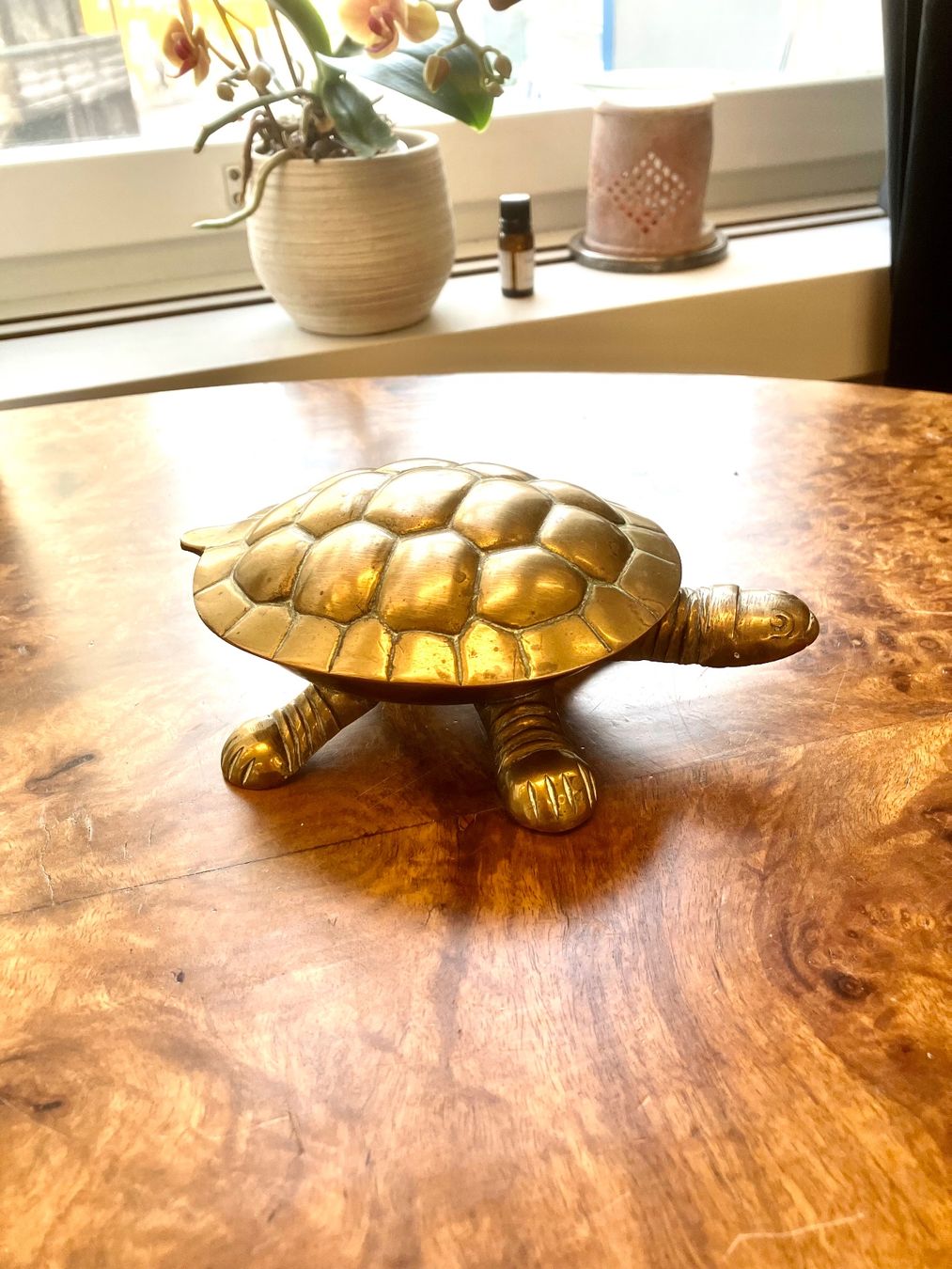 Tutte le decorazioni: Zwei Schöne antike Schildkröten aus Messing – Usato da Schaffhausen venduto da NinaRicardo 2