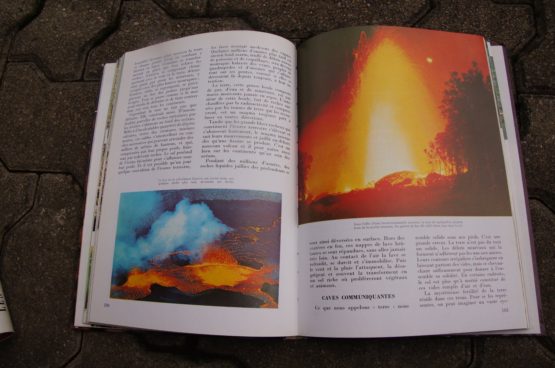 Libri: La vie sauvage – Usato da Sierre venduto da Erjou 2