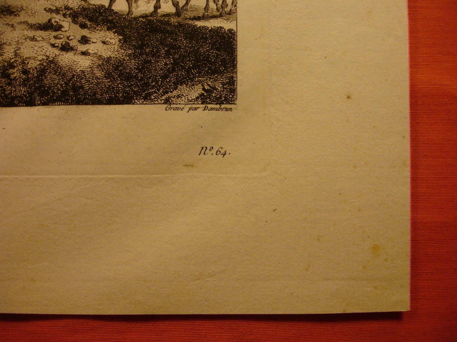 Incisioni: GRIMSEL, KUPFERSTICH 1788, MAULTIERE – Usato da Grüningen venduto da Kartensammler 5