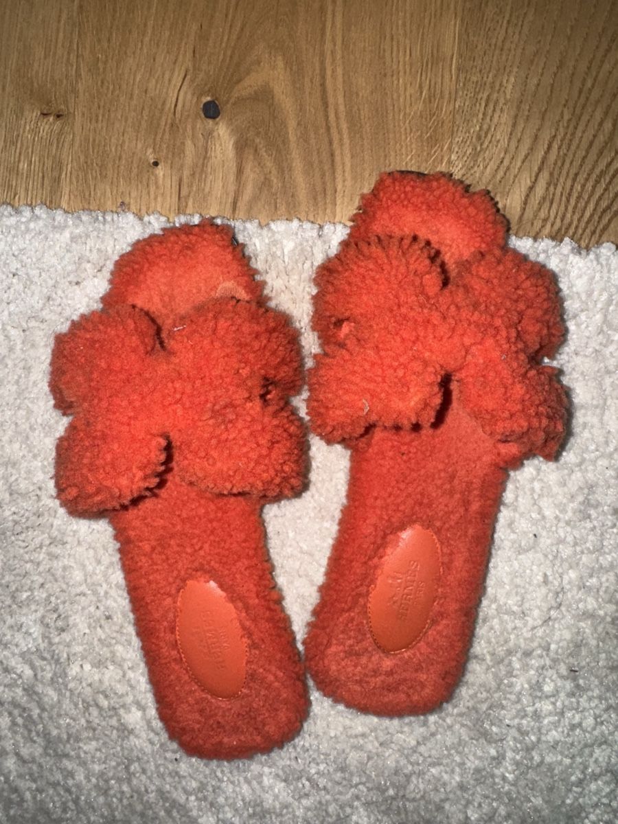 Hermès Damenschuhe: Hermes oran – Gebraucht aus Reinach AG von MineD