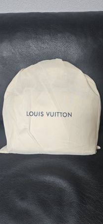 Borsa a mano Louis Vuitton.