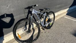 Vélo Totem Pilatus 29