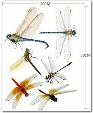 Adesivi murali: ---+++ 3D Sticker Set Libellen +++--- – Nuovo e nell'imballaggio originale da Kilchberg ZH venduto da Eaglebuy