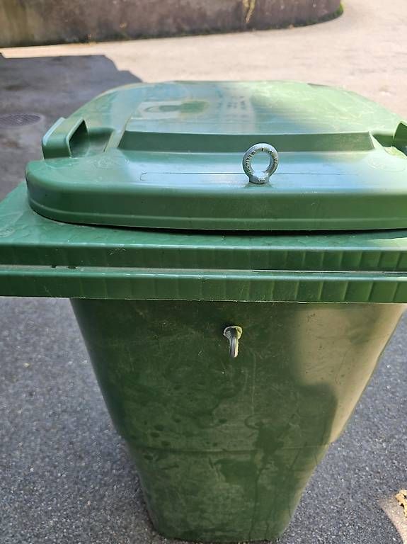 Altro per Ufficio & Commercio: Sulo Grüncontainer 240L mit Öse – Usato da Frauenfeld venduto da Neoncube 1
