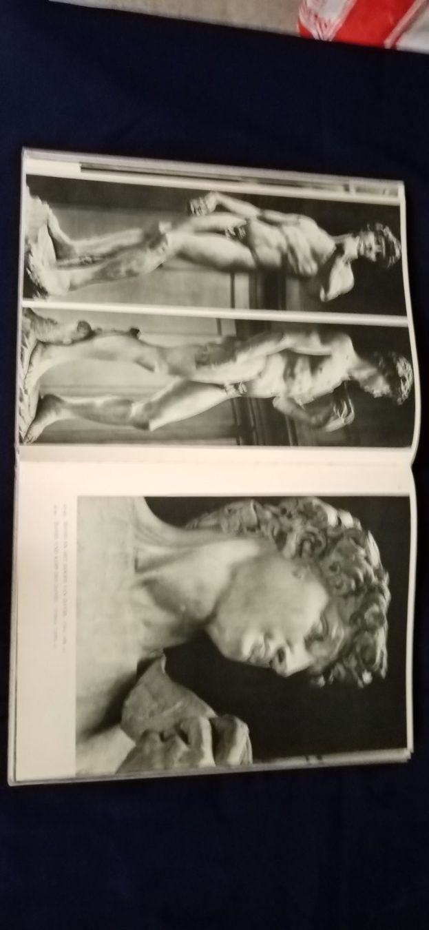 Libri: Michelangelo, Bildband – Usato da Büsingen venduto da Flohminator 9
