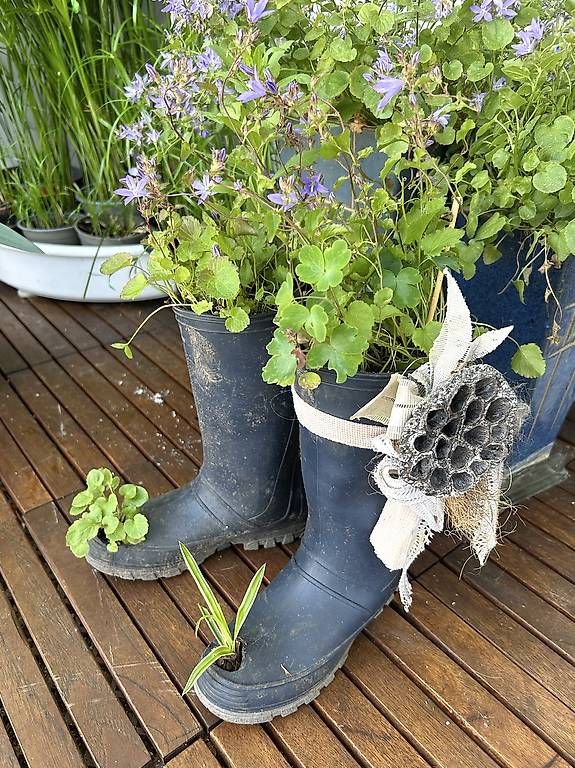 Scarpe da donna: Gummistiefel als Blumentopf  – Usato da Frauenfeld venduto da Irene.Schuppli