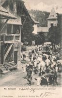 St-Cergue (VD) – Alpaufzug, Viehtrieb zu den Alpenweiden