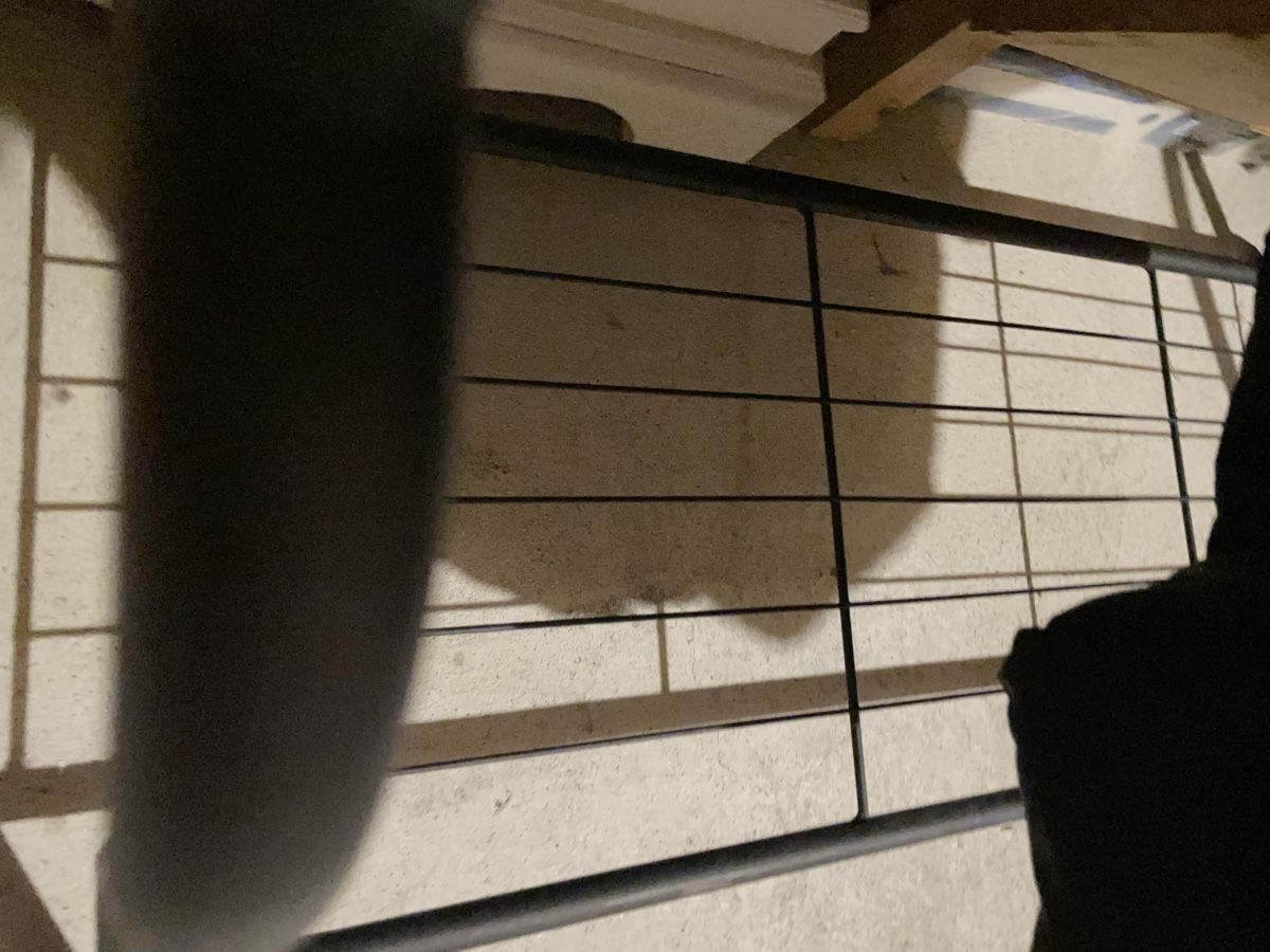 Guardaroba: Kleiderständer/Grarderobe – Usato da Büren an der Aare venduto da mii_57vx 6