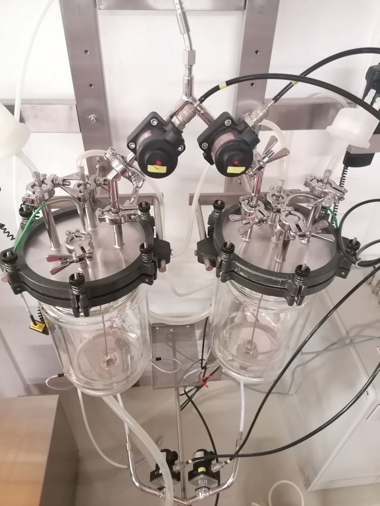 Accessori da laboratorio: 2 x 3l Doppelmantel Bioreaktor - Anlage – Usato da Niederdorf venduto da LeptonAG_Labor 6