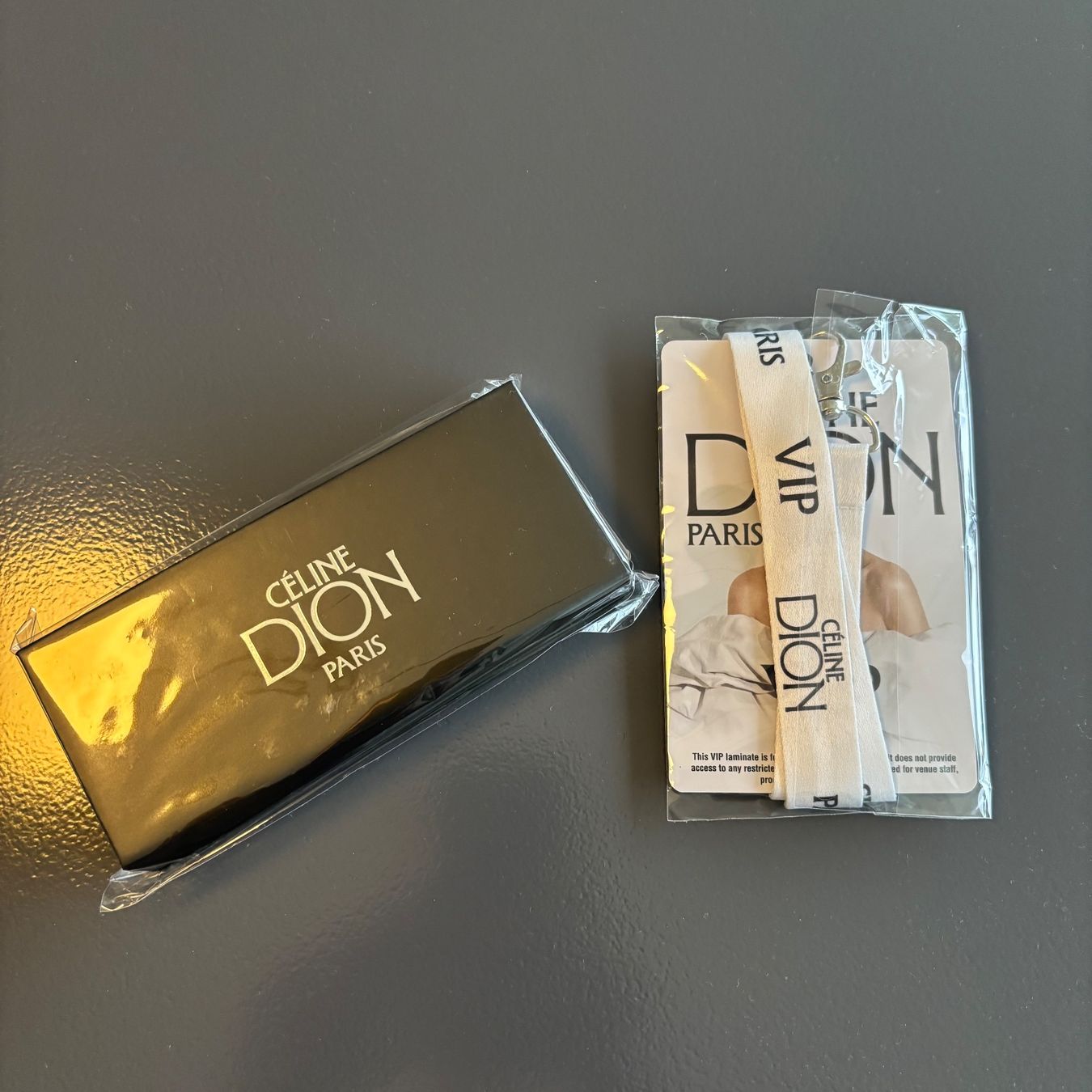 Borse: Celine Dion VIP Pack Paris 2026 – Nuovo e nell'imballaggio originale da Bolligen venduto da mae_c8ts 6