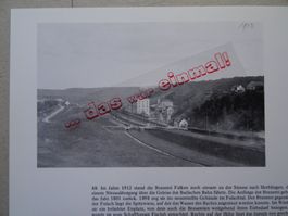 Schaffhausen Bierbrauerei Falken  anno dazumal