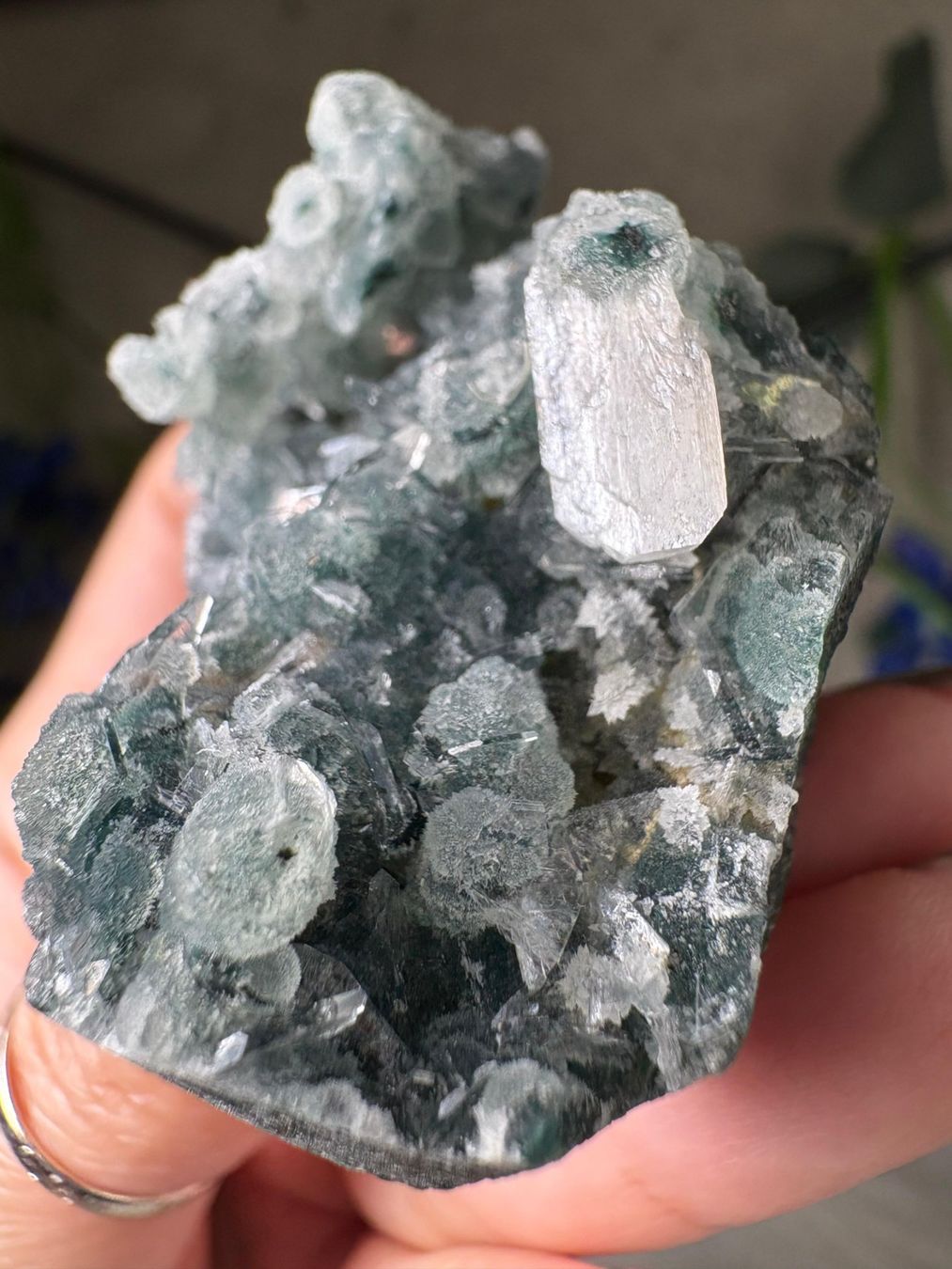 Minerali & Pietre curative: Chalcedon-Stalaktit mit Heulandit – Nuovo e nell'imballaggio originale da Neuheim venduto da m.hald 6