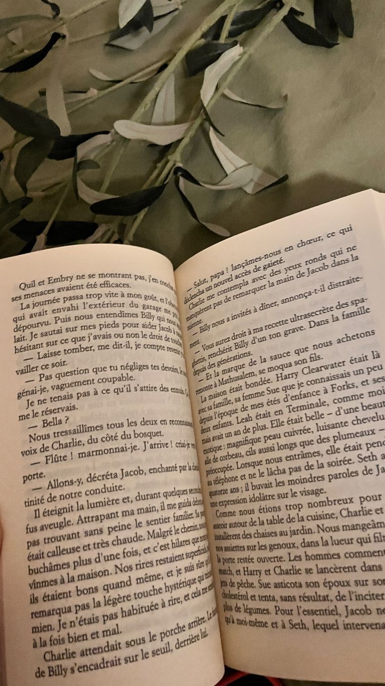 Libri: Tentation – Stephenie Meyer | Saga Twilight – Usato da Le Grand-Saconnex venduto da afi_tl2b 2