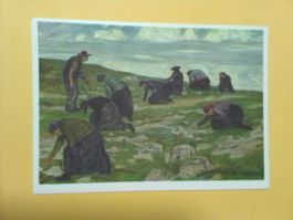 Pro Juventute H.-B. Wieland steiniges Land