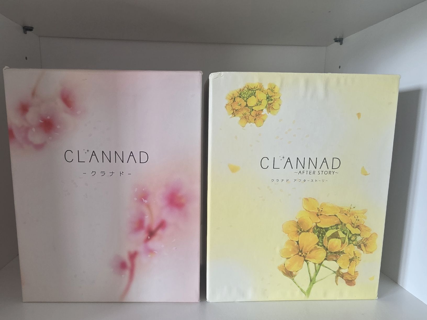 Tutti i DVDs: Clannad+ Clannad After Story  – Usato da Berneck venduto da Amuell 1