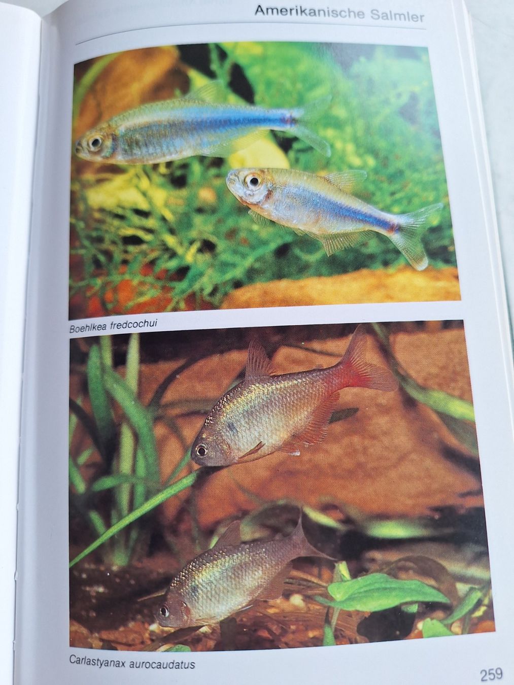 Bücher: AQUARIENATLAS MIT 950 SEITEN – Gebraucht aus Huttwil von Kunterbuntli 5