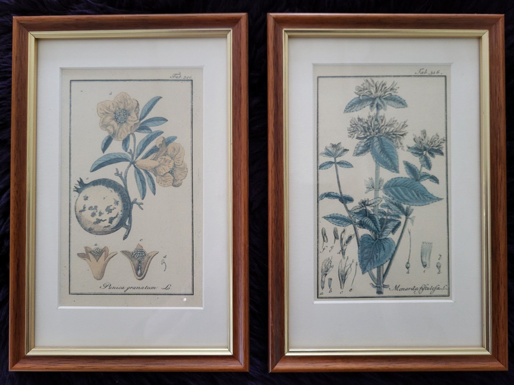 Grafica & Litografie: Zwei schöne Bilder (vermutlich Lithografien) – Usato da Guntershausen venduto da Luzia62