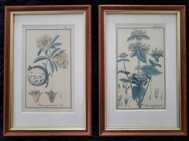 Zwei schöne Bilder (vermutlich Lithografien)