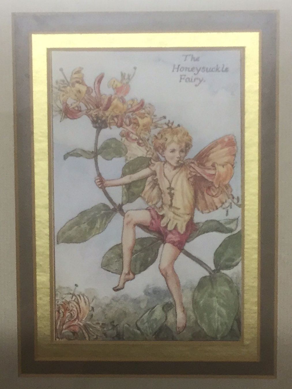 Dipinti: 2 Cicely Mary Barker, Flower Fairies – Usato da Zürich venduto da -Panoptikum- 2