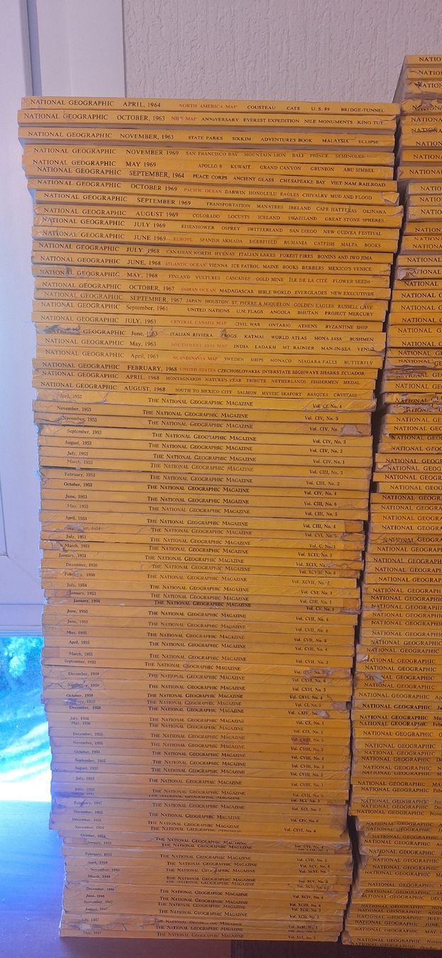 Riviste & Magazine: collection National Geographic – Usato da Epalinges venduto da luc_wx79 2