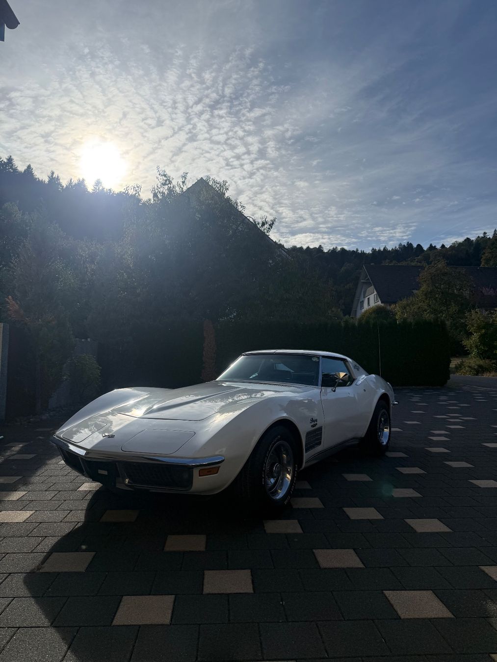 Chevrolet Automobili: Chevrolet Corvette 1971 – Usato da Schafisheim venduto da ms-classics 4