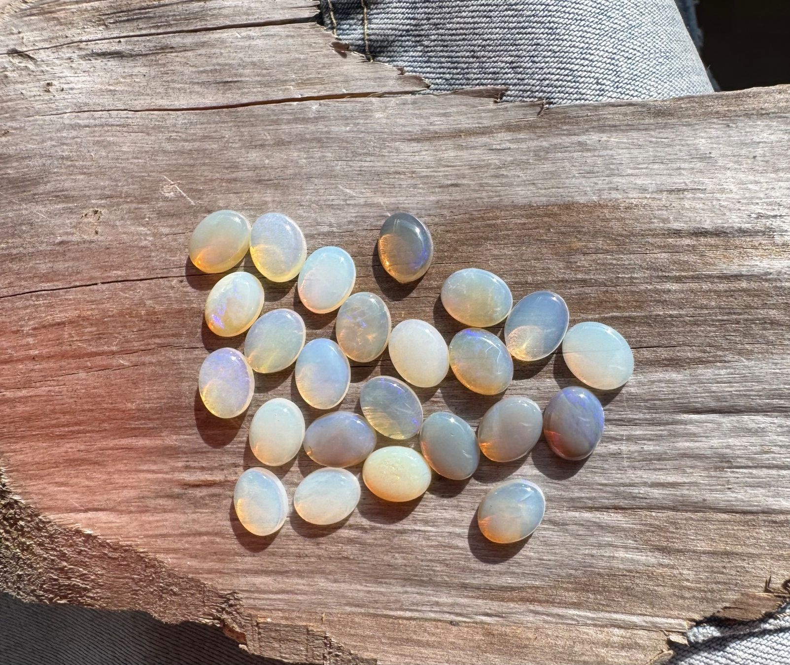 Fossilien: 24 Stk  Cabochons Opal  echt!!  oval    7x9mm  solid – Neu und originalverpackt aus Leuggern von gemshow 2