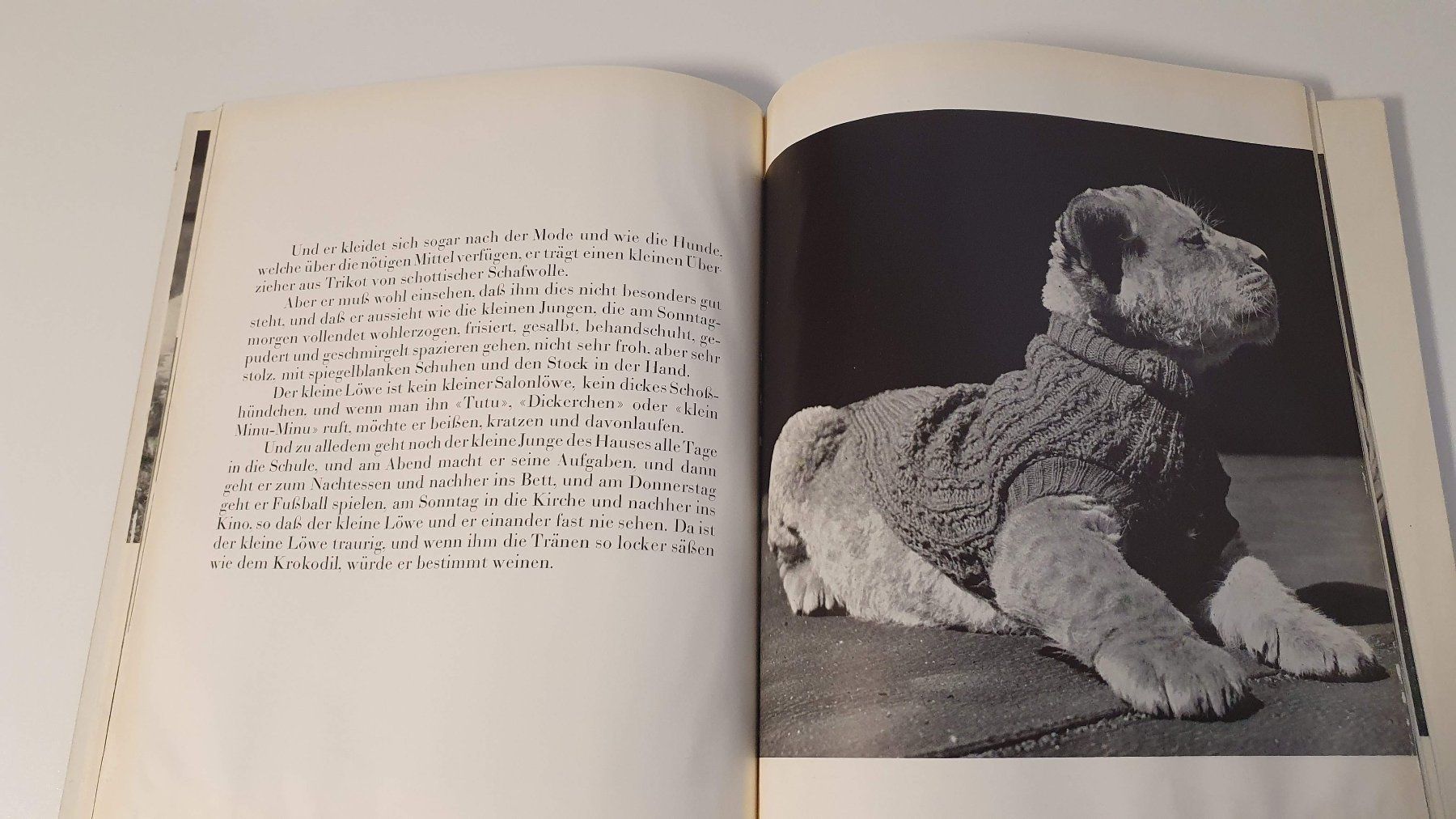 Bücher: Der kleine Löwe. Bilder von Ylla. – Gebraucht aus Dietlikon von Justus4 2