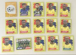 RSA - Südafrika - Panini WM Sticker